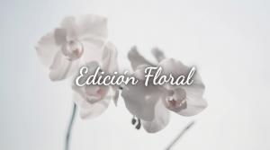 Don Algodon Ambients Edición Floral